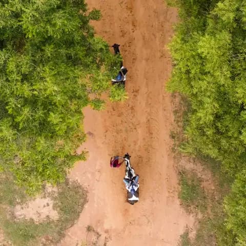 Ride with each other on a quiet and scenic forest trail.