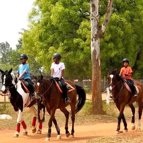 Watch the kids go on a fun nature trail on campus accompanied by professional instructors.