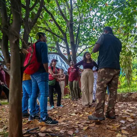 Learn about the ecosystem from your host and get a hands-on paddy-farming experience. 