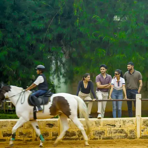 Wander the property and discover scenic trails and quiet corners.