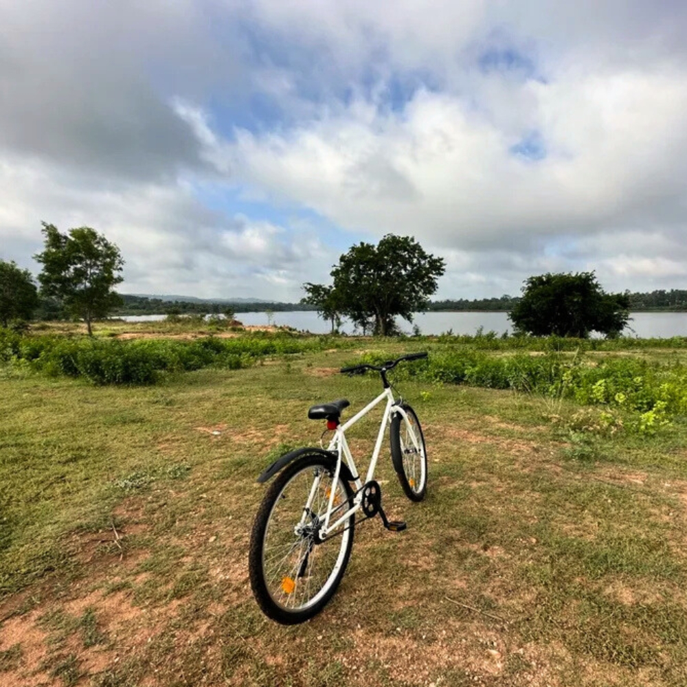 How to Experience the Best of Glamping Date Under The Stars Near Bannerghatta