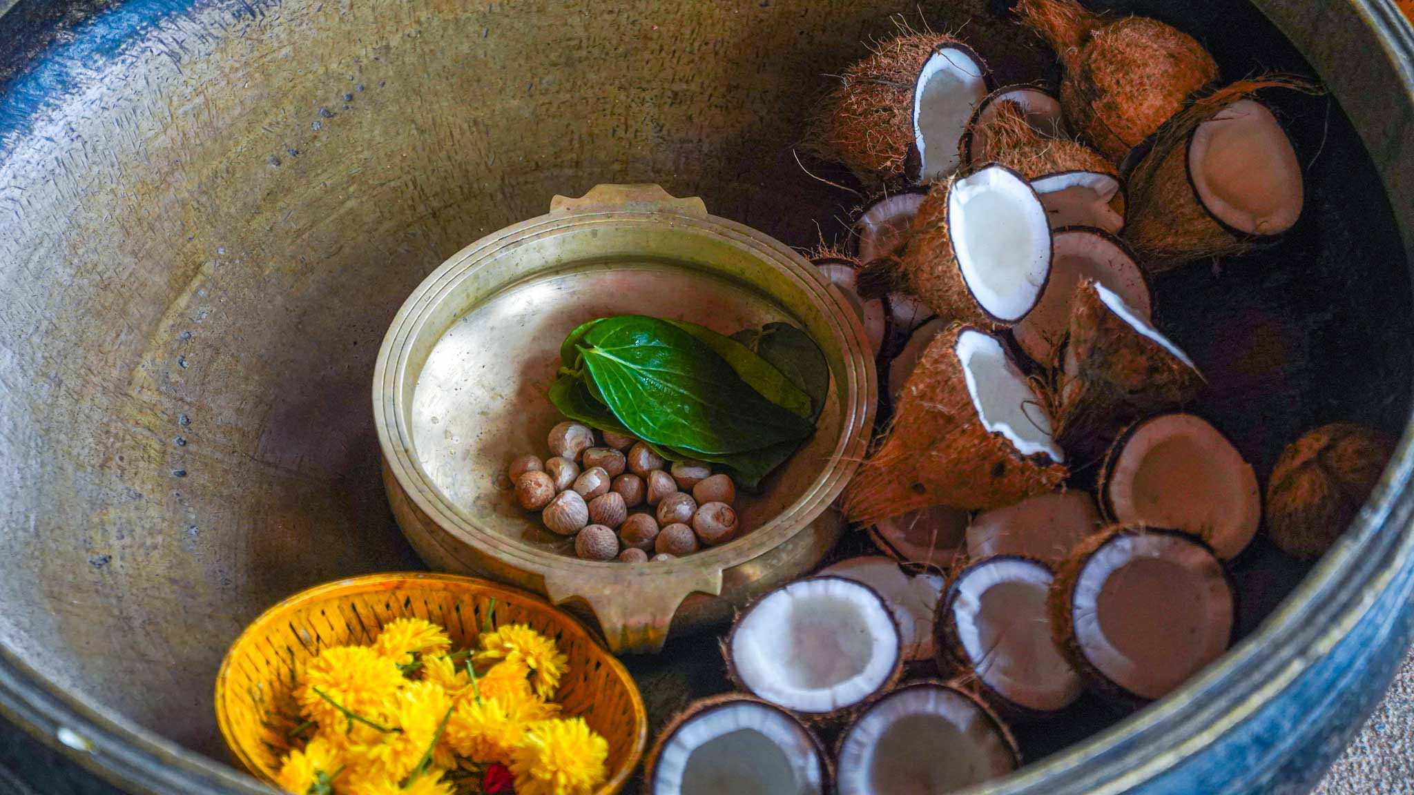 Explore Spiritual Depths: The Adiyogi Tour Awaits