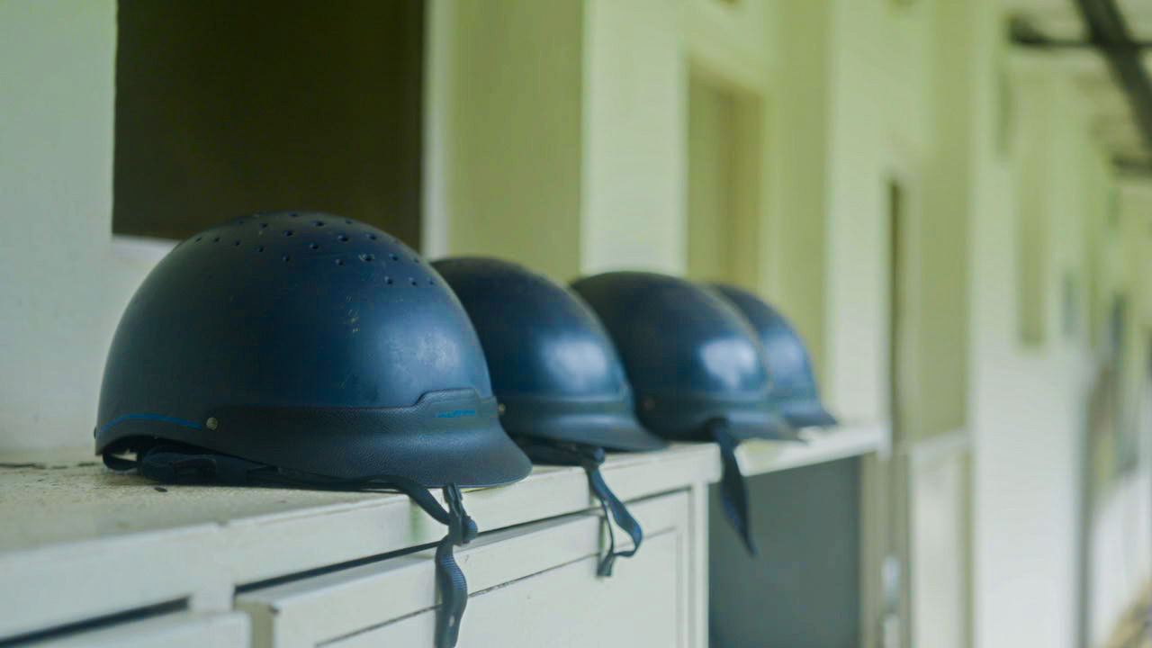 Nature Meets Adventure: Pony Rides for Outdoor Families!