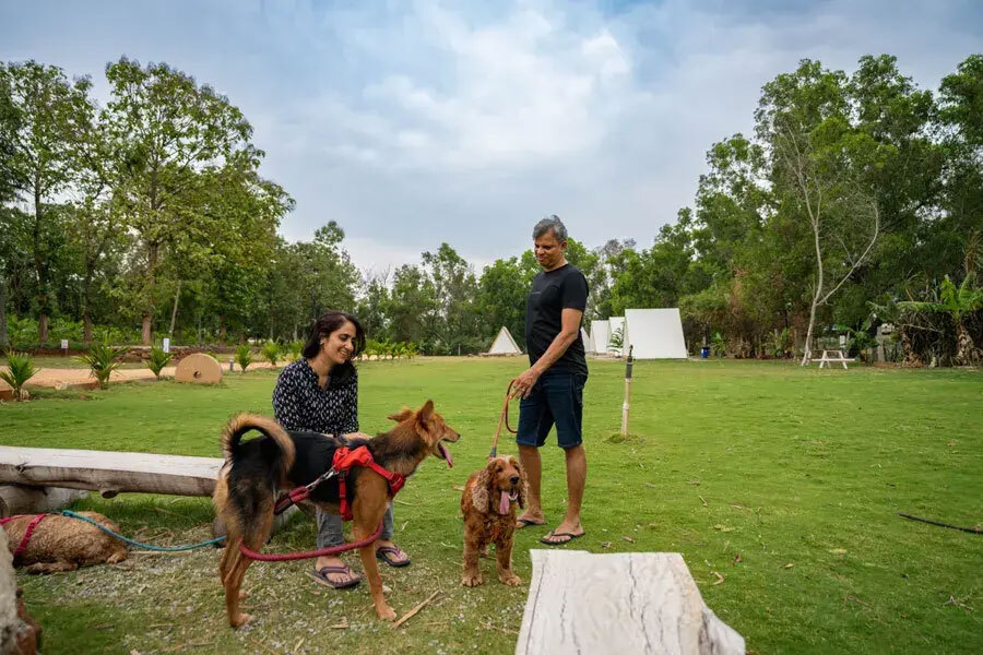 Nature’s Haven: Why City Dwellers are Flocking to Lakeside Escapes