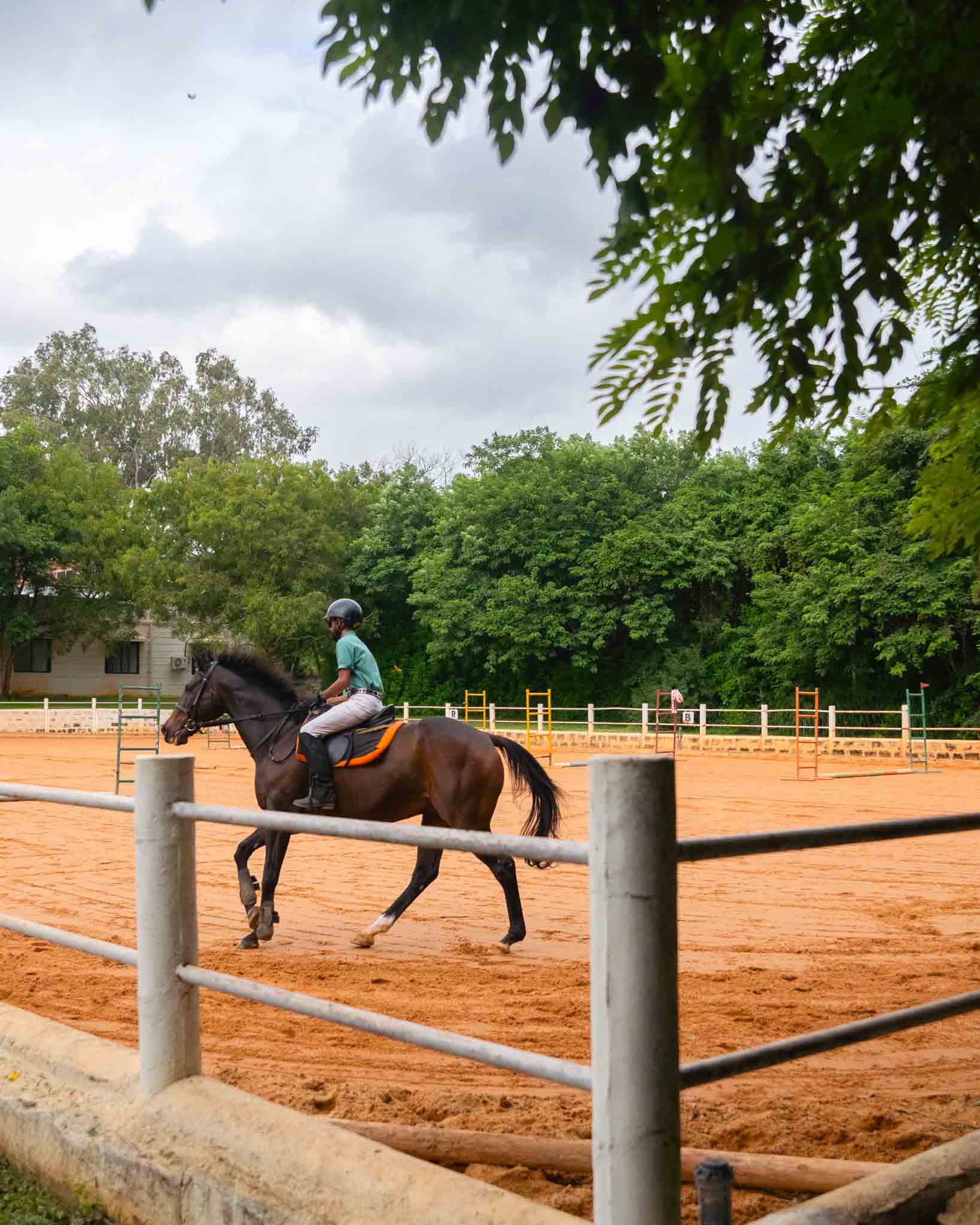 Unleash Your Wild Side with a Horseriding Forest Safari!