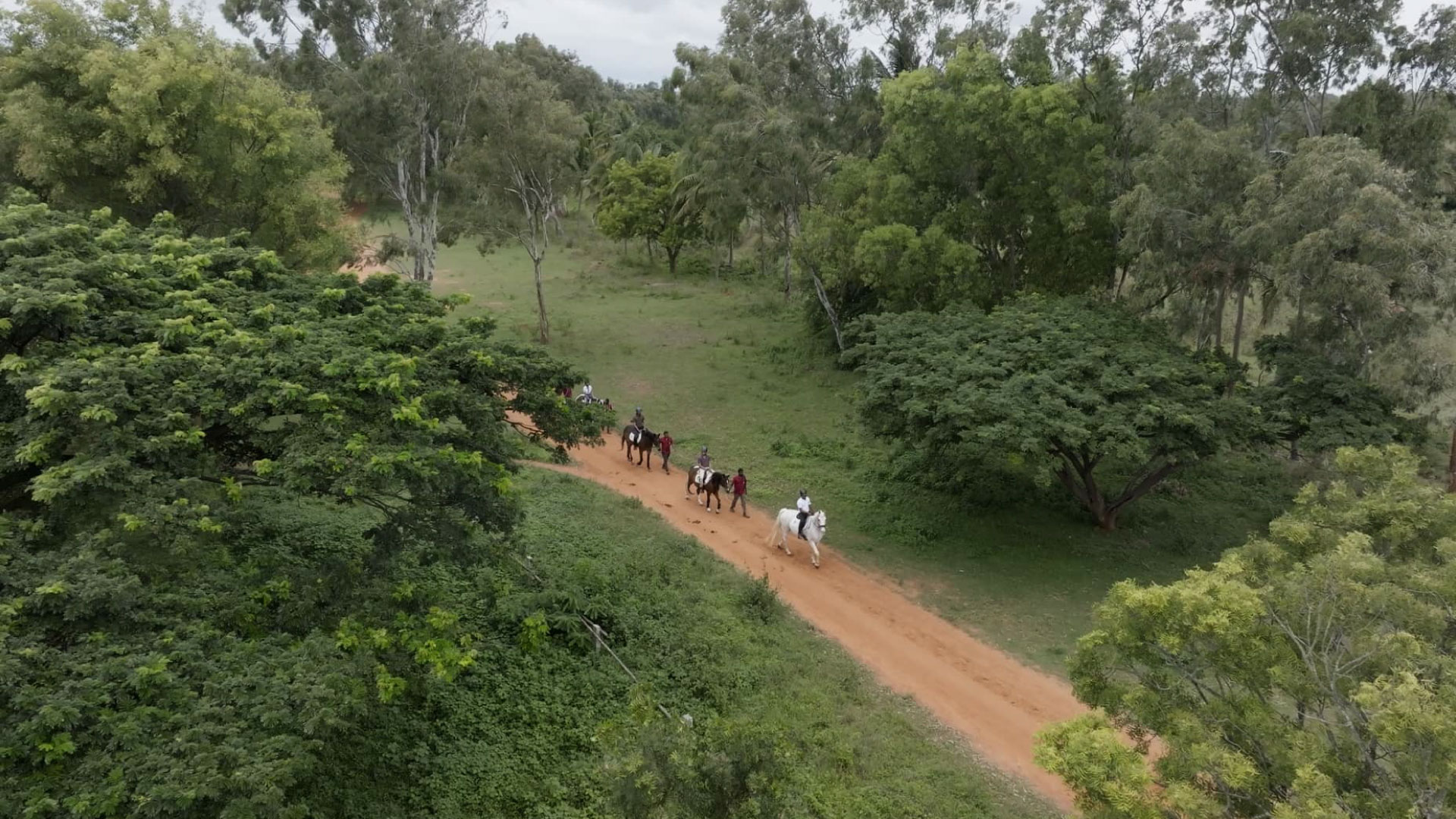 Why Horse Riding Forest Safari Near Yelahanka Is My New Favorite Escape
