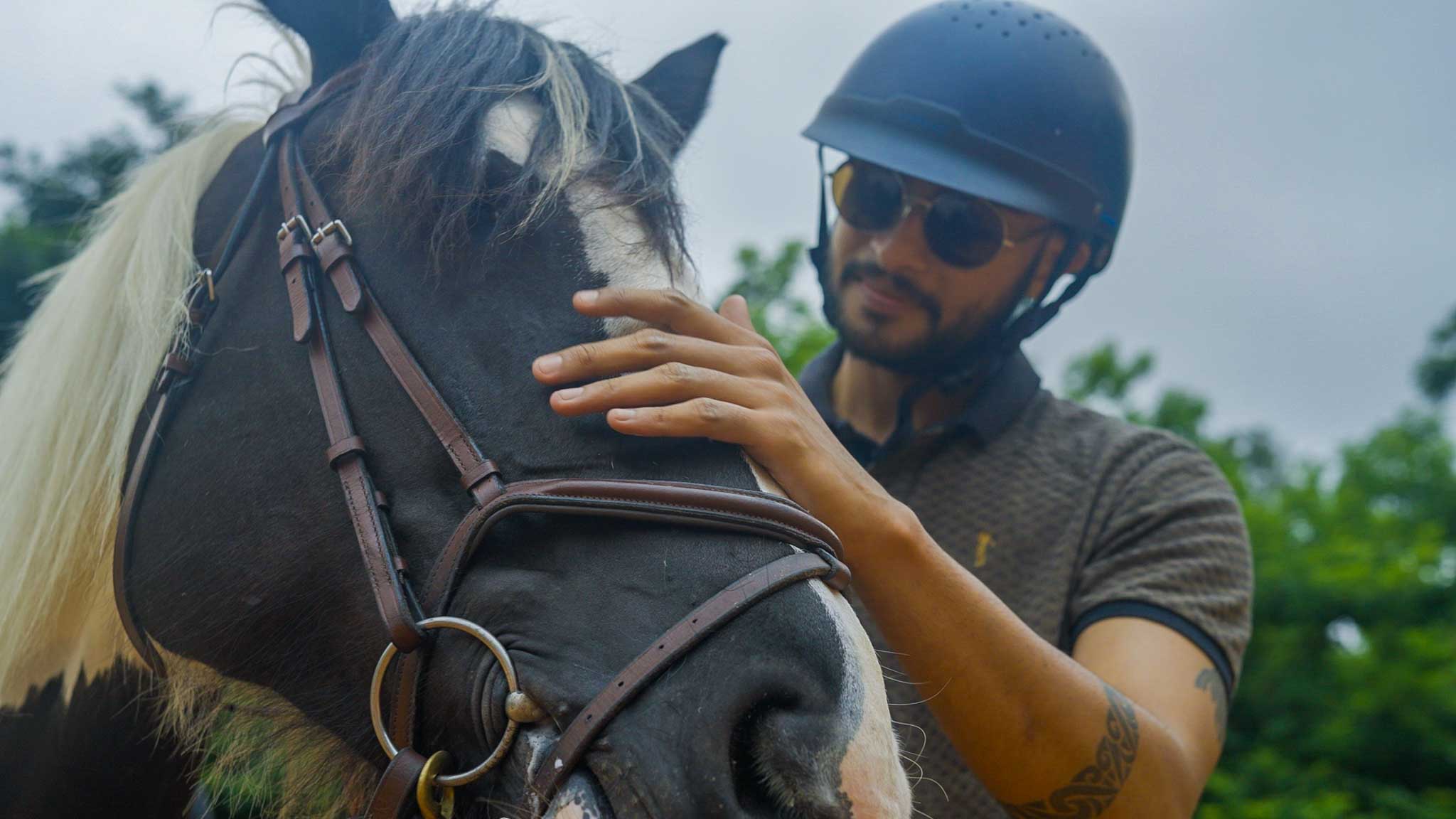 Experience the Thrill of Horse Riding Learning Just Outside Bangalore