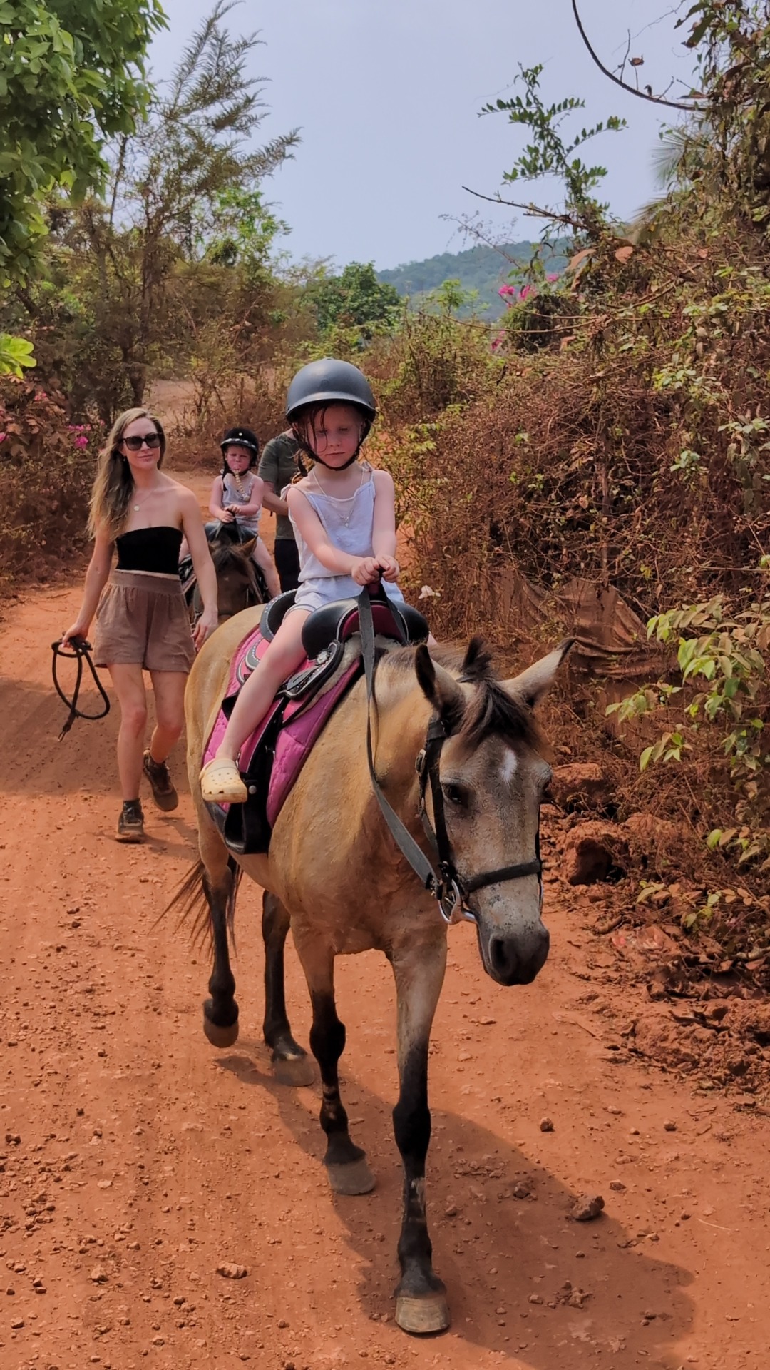 Why the Goa Hidden Jungle Horse Ride Experience Is a MustTry