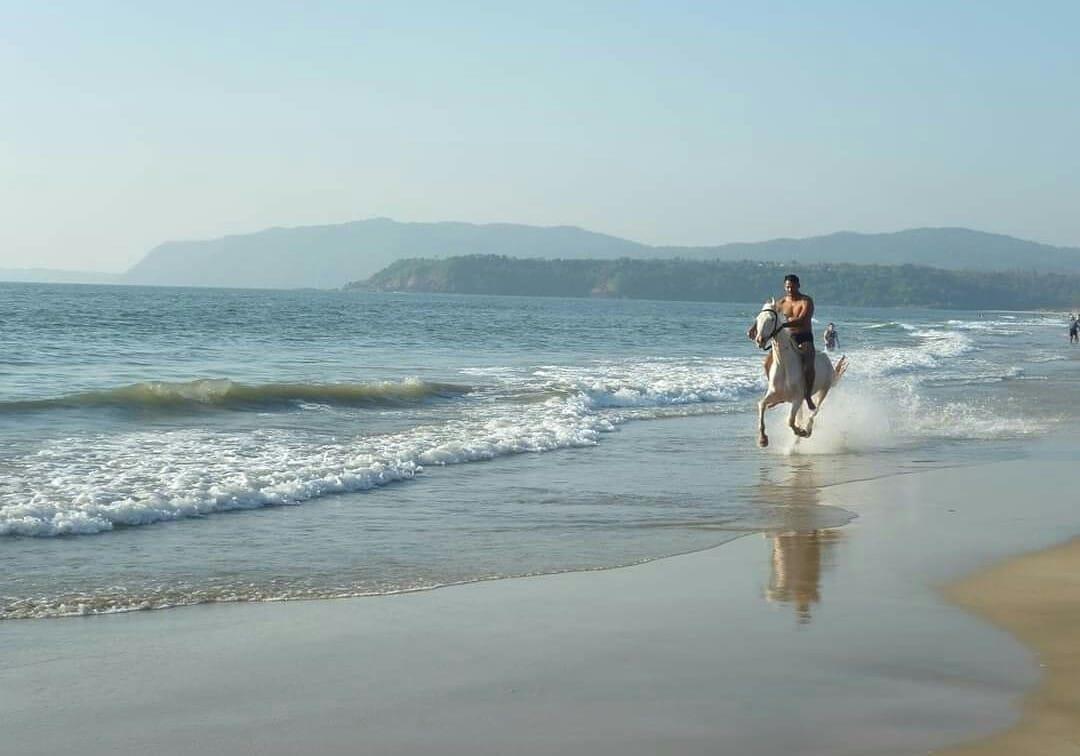 I Can’t Stop Talking About My Horse Riding Beach Safari Experience in Agonda